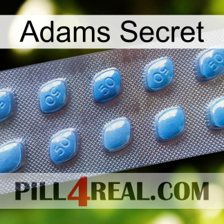Adams Secret viagra3
